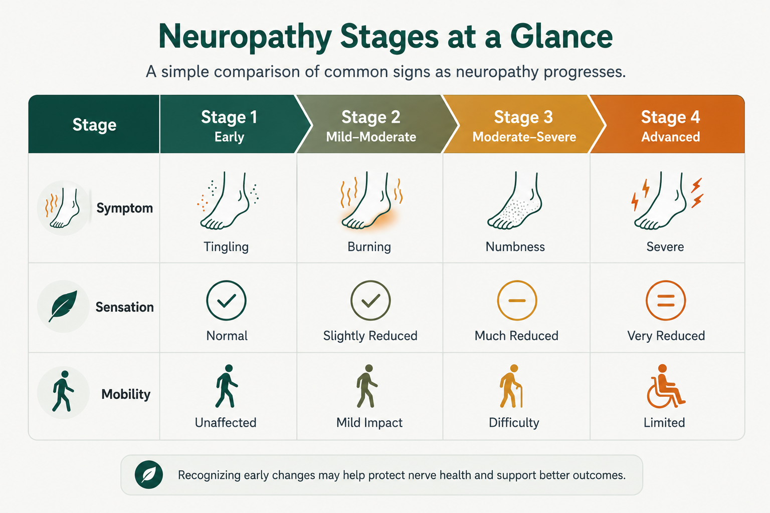 Comparison of the four stages of neuropathy by symptom, sensation, and mobility.